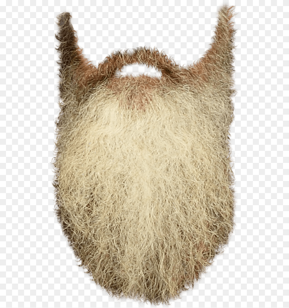 Beard Clip Art Long Beard Transparent Background, Face, Head, Person, Animal Png