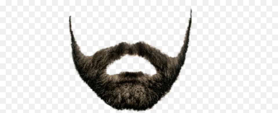 Beard Clipart Realistic Beard, Face, Head, Person, Mustache Free Png