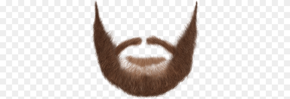 Beard Clipart Realistic Beard Booth Transparent, Face, Head, Person, Mustache Free Png Download