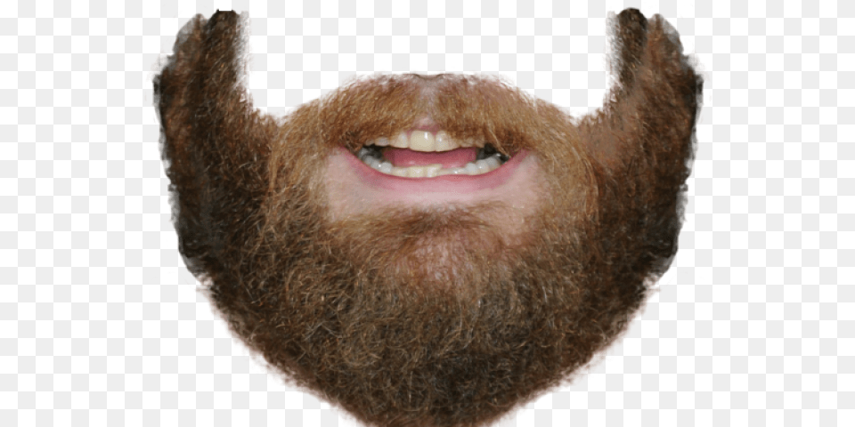 Beard Copy And Paste Beard, Face, Head, Person, Adult Free Transparent Png