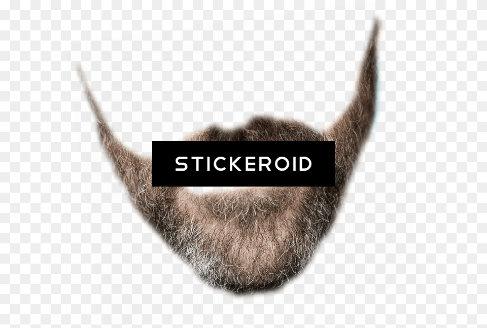 Beard Eyelash Extensions, Face, Head, Person, Mustache Free Png Download