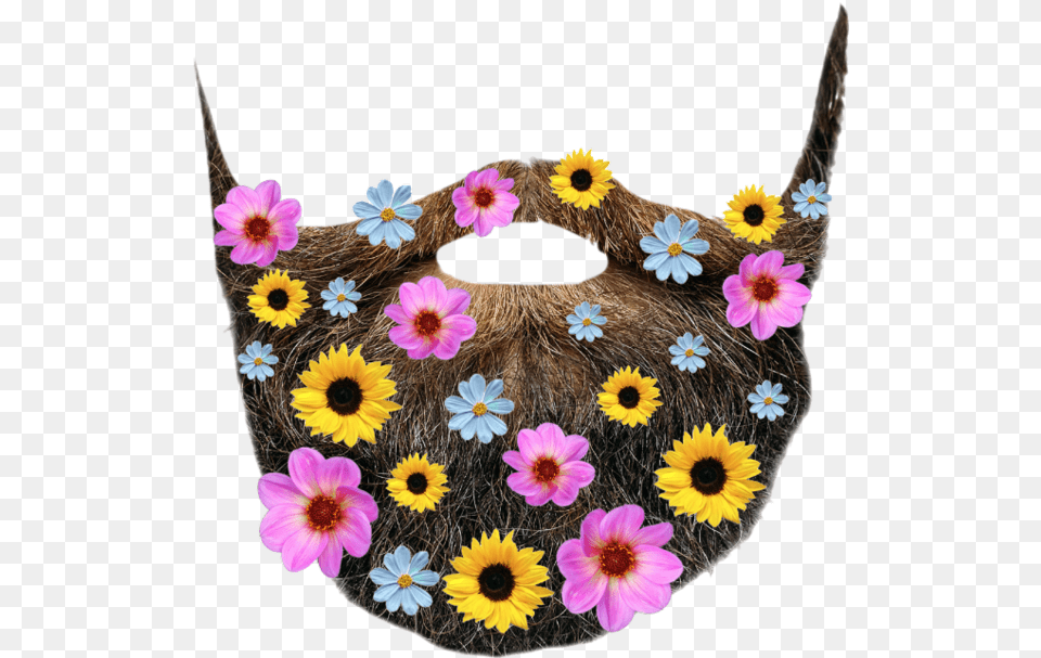 Beard Flower Freetoedit Art Interesting Jordansnice01 Crochet, Anemone, Plant, Daisy, Accessories Free Png Download