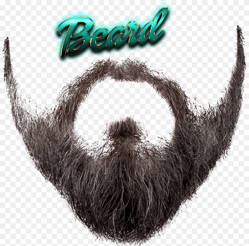 Beard Free Transparent Background Beard, Face, Head, Person, Mustache Png Image