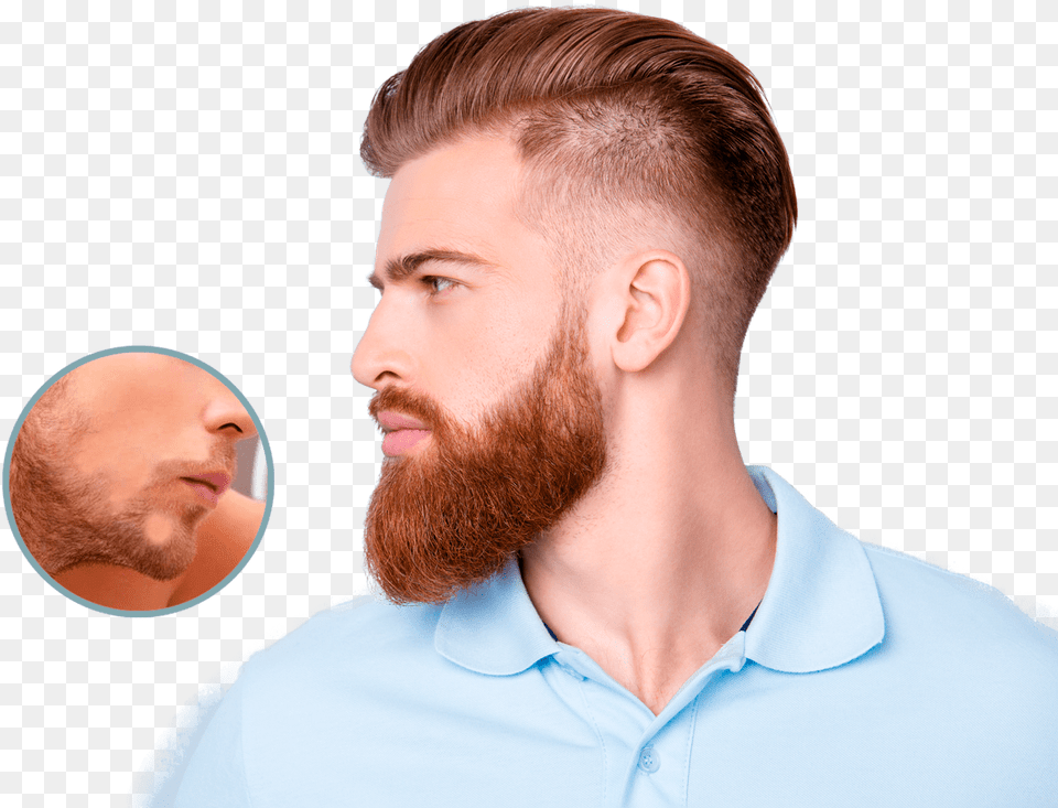 Beard Growth Oil Bd, Adult, Face, Head, Male Free Png