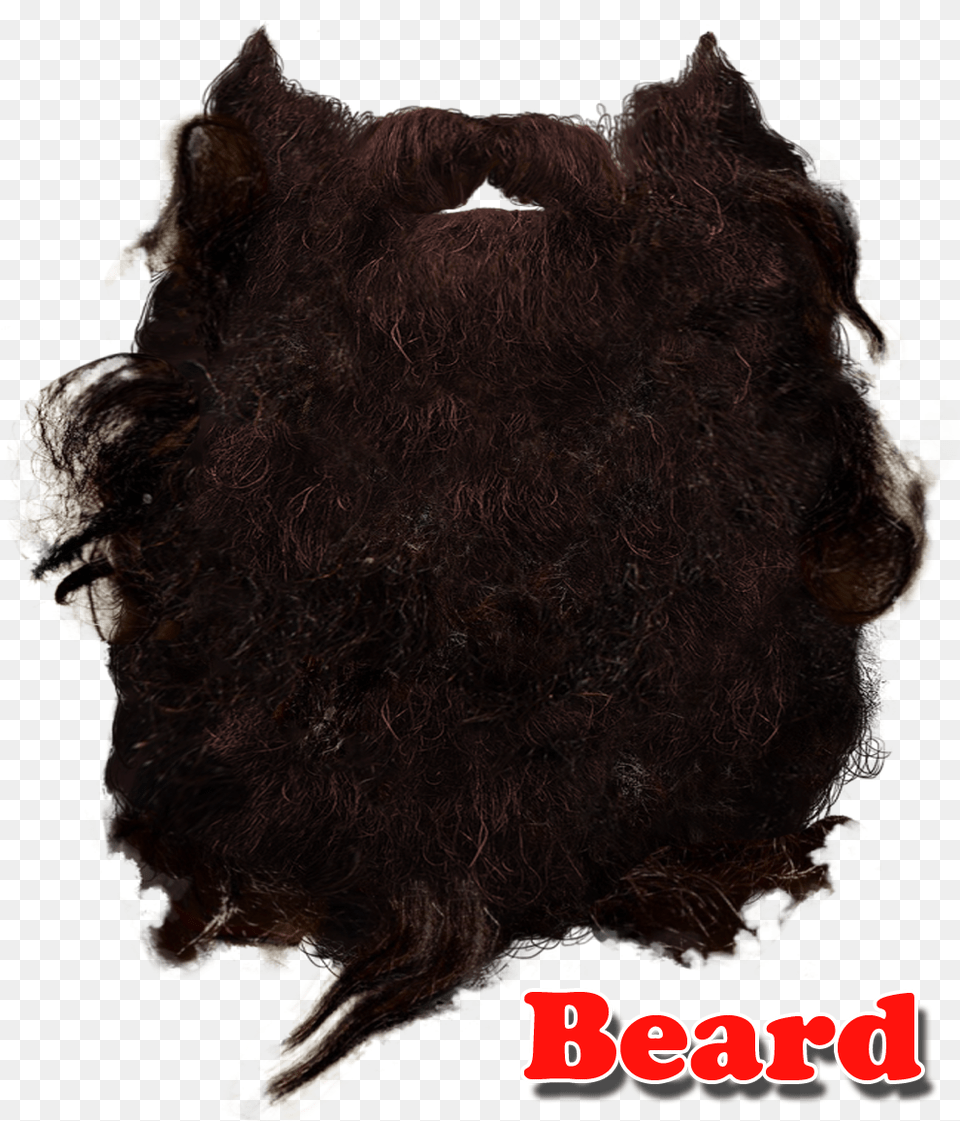 Beard Make Mr Twit Beard, Adult, Female, Person, Woman Png