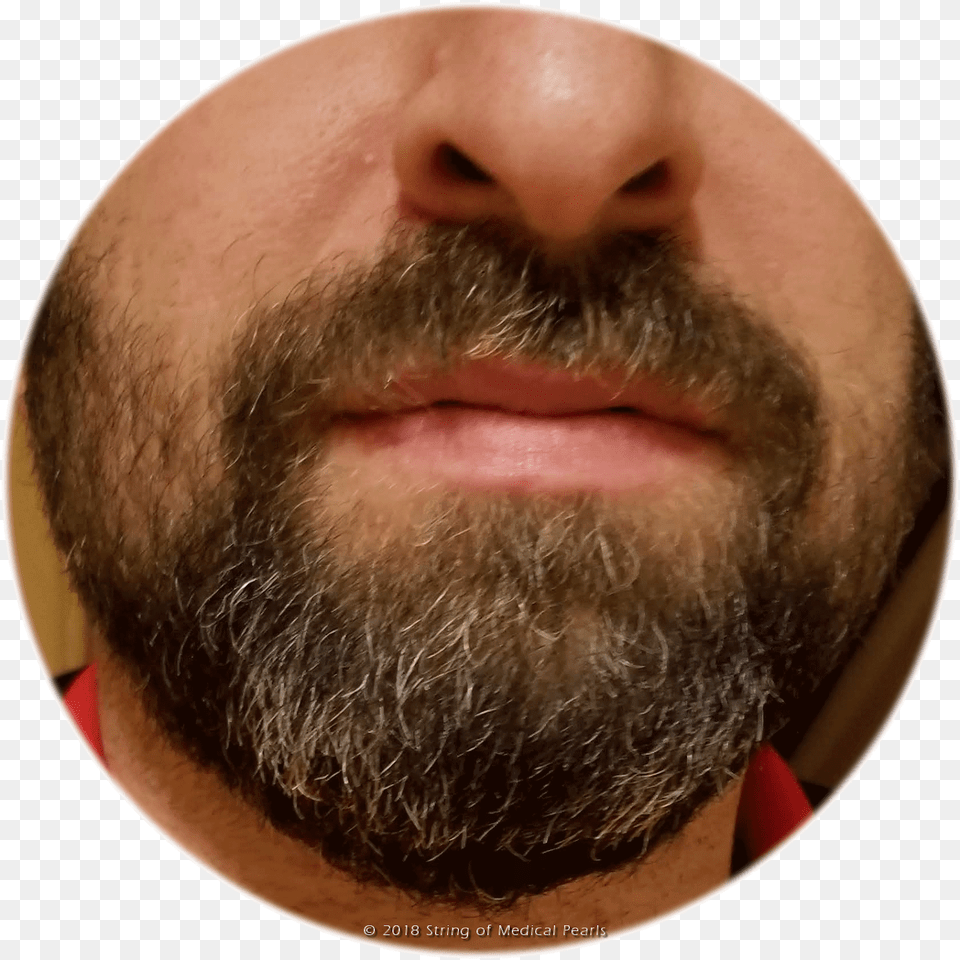 Beard Transparent, Face, Head, Person, Adult Free Png