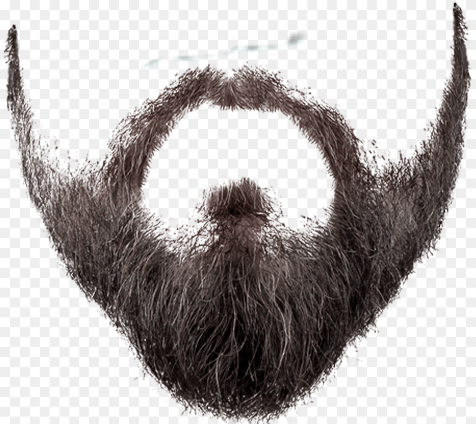 Beard Transparent Background Beard, Face, Head, Person, Mustache Free Png Download