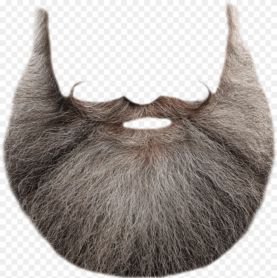 Beard Transparent Pngpix Santa Claus Beard Transparent, Face, Head, Person, Adult Free Png