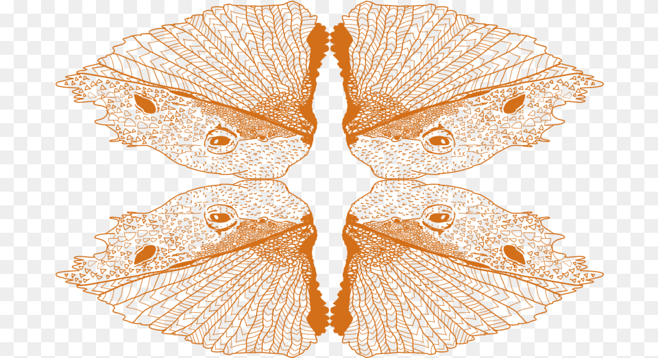 Bearded Dragon Butterfly, Accessories, Earring, Jewelry, Lace Png Image