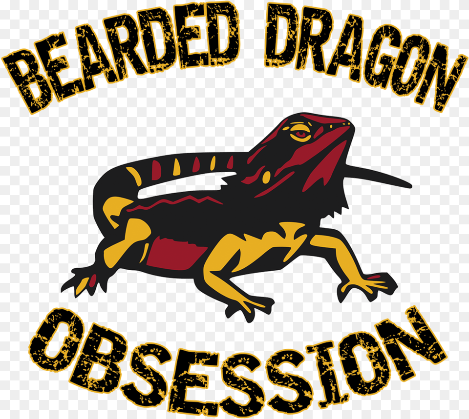 Bearded Dragon Obsession Image Bufo, Animal, Lizard, Reptile, Wildlife Png