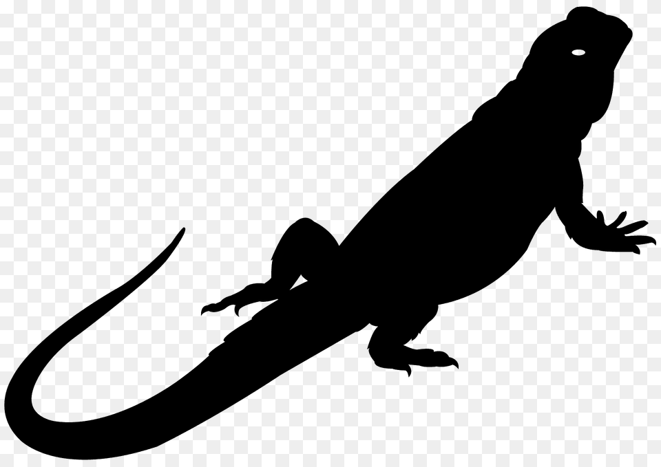 Bearded Dragon Silhouette, Animal, Gecko, Lizard, Reptile Free Transparent Png