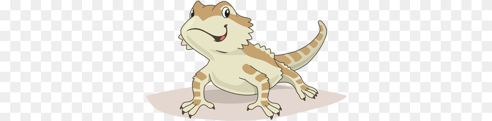 Bearded Dragons Cartoon, Animal, Reptile, Dinosaur, Lizard Free Png