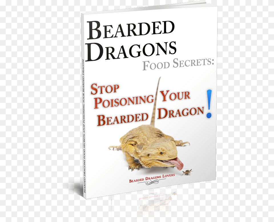 Bearded Dragons Food Secrets Oak Ridge National Laboratory, Advertisement, Poster, Animal, Lizard Free Png Download