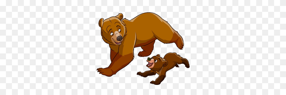 Bears Clipart, Animal, Lion, Mammal, Wildlife Png Image