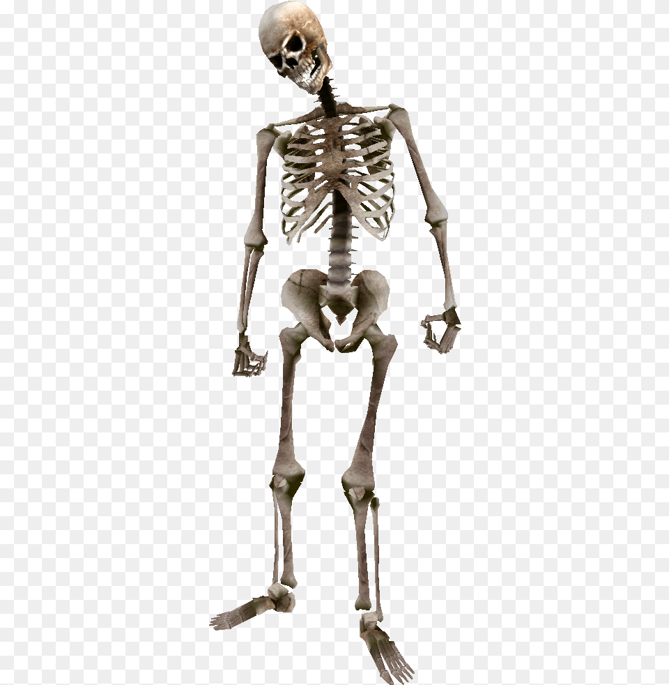 Beast Oblivion Skeleton Skeleton Arm Human Skyrim, Person Png