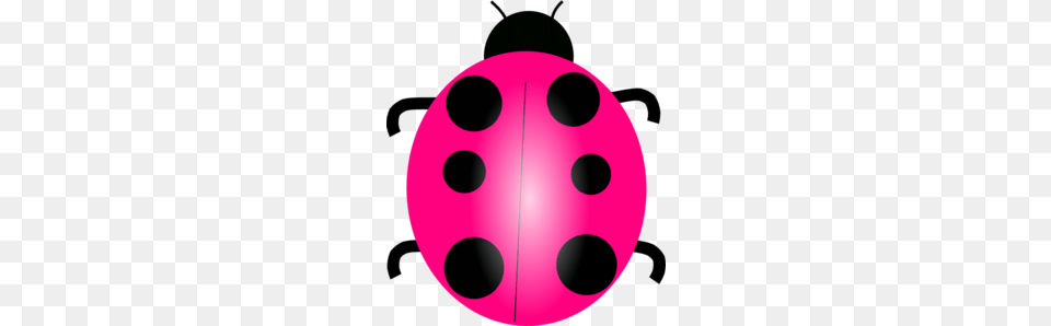 Beatle Clipart Pink, Sphere, Purple Png Image