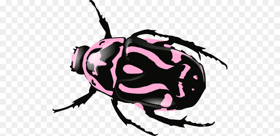 Beatle Clipart Pink, Animal, Dung Beetle, Insect, Invertebrate Free Png