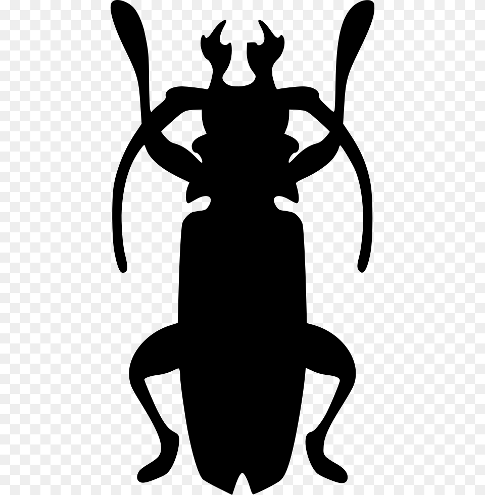 Beatle Nature Cockroach Roach, Stencil, Person, Animal, Silhouette Free Transparent Png