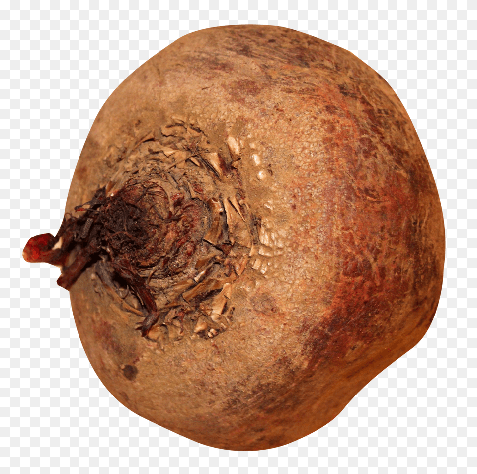 Beatroot Image, Food, Plant, Produce, Rutabaga Free Png Download