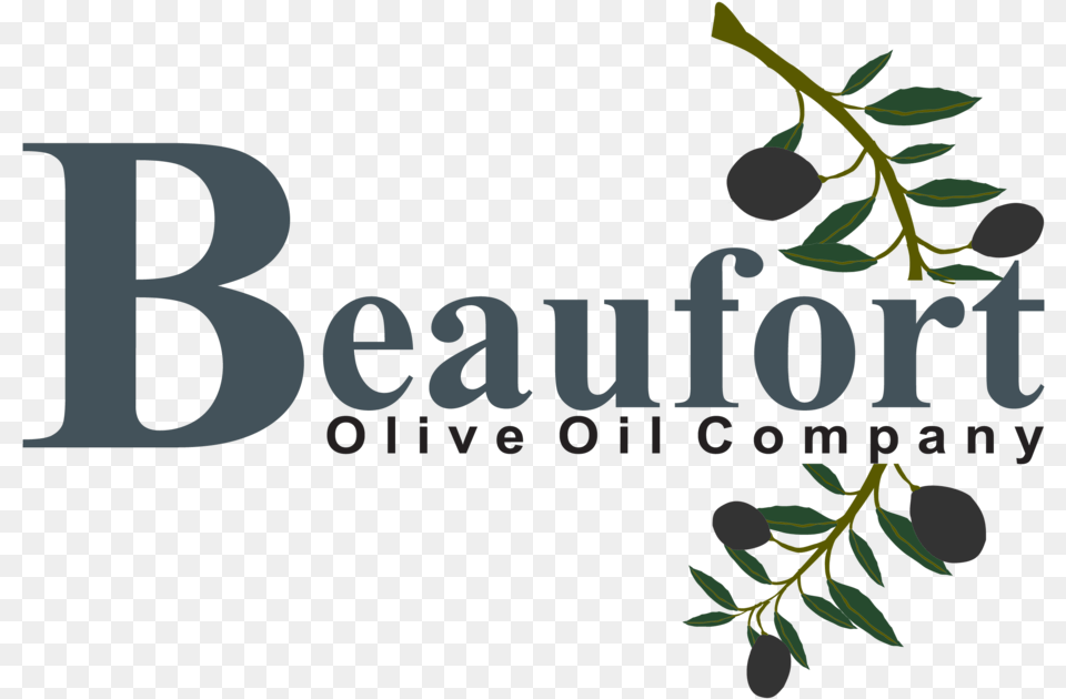 Beaufort Olive Oil Logo Web Graphic Design, Berry, Blueberry, Food, Fruit Png