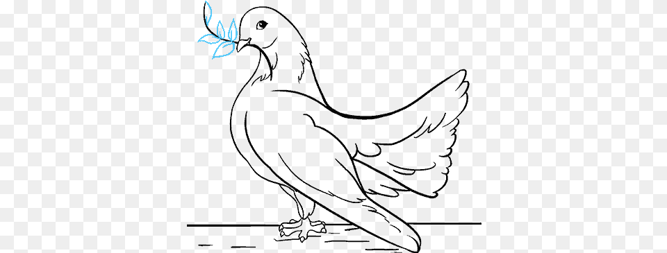 Beauteous How To Draw A Dove In Few Easy Steps Drawing, Logo Free Transparent Png
