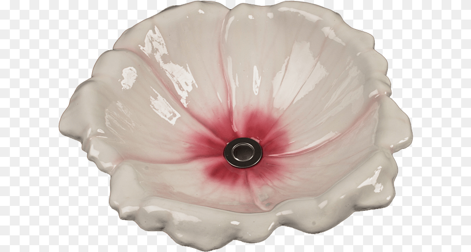 Beautiful Blossom Sink White With Pink Center By Artist Artist, Animal, Seashell, Sea Life, Invertebrate Free Png