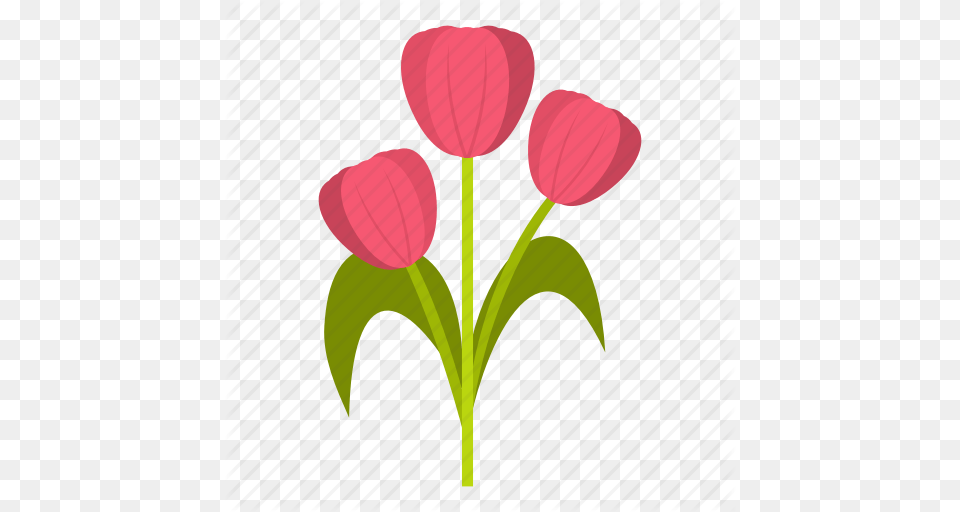 Beautiful Bouquet Flower Mom Pink Spring Tulip Icon, Petal, Plant, Art, Rose Png Image
