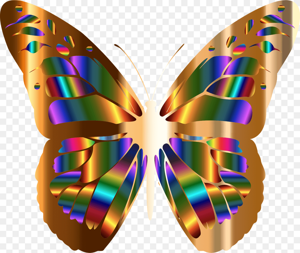 Beautiful Butterfly Clip Art, Graphics, Dynamite, Weapon, Animal Png Image