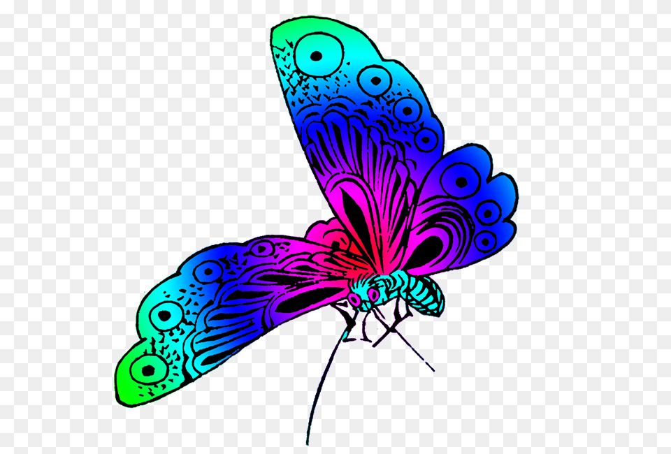 Beautiful Butterfly Images, Art, Graphics, Floral Design, Pattern Png Image
