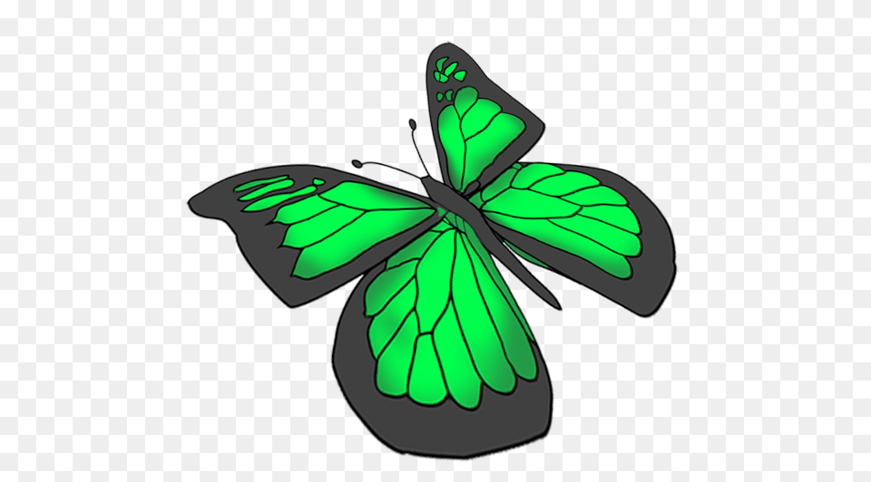 Beautiful Butterfly Images, Leaf, Plant, Art Free Transparent Png