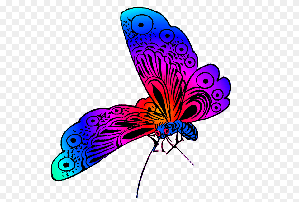 Beautiful Butterfly Images, Graphics, Art, Invertebrate, Insect Png