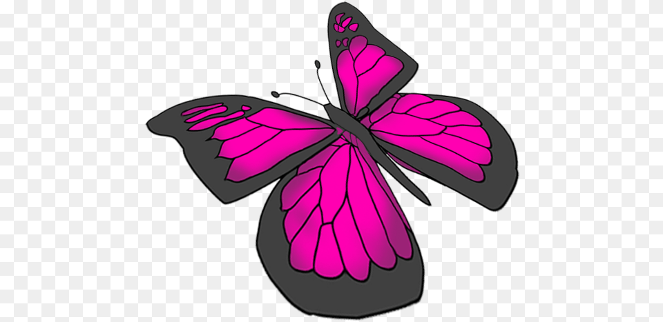 Beautiful Butterfly Images Drawing Butterflies, Flower, Geranium, Petal, Plant Free Png Download