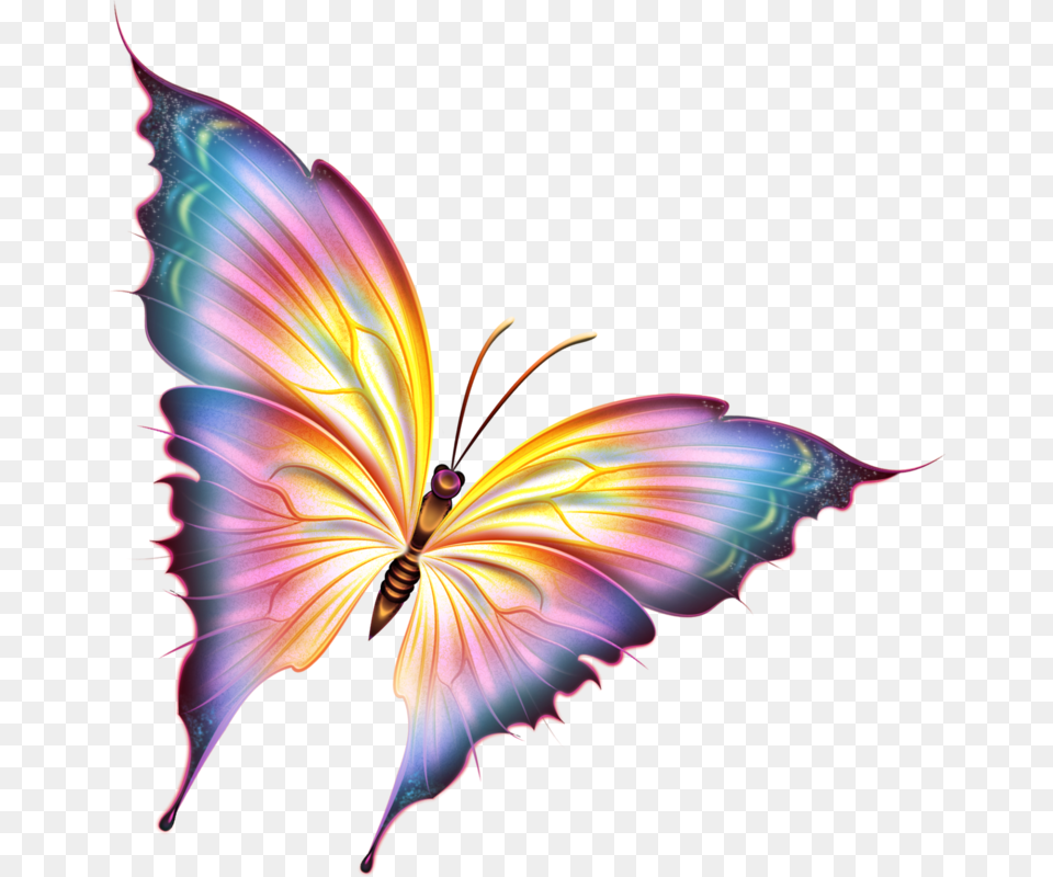 Beautiful Butterfly Pictures, Accessories, Fractal, Ornament, Pattern Free Png Download