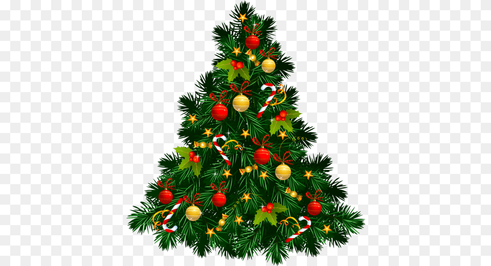 Beautiful Christmas Tree Decorations Image Download Christmas Tree, Plant, Christmas Decorations, Festival, Christmas Tree Free Transparent Png