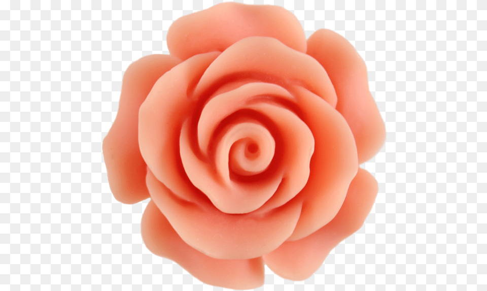 Beautiful Clipart Peach Rose Clip Art, Flower, Plant, Accessories, Cream Free Transparent Png