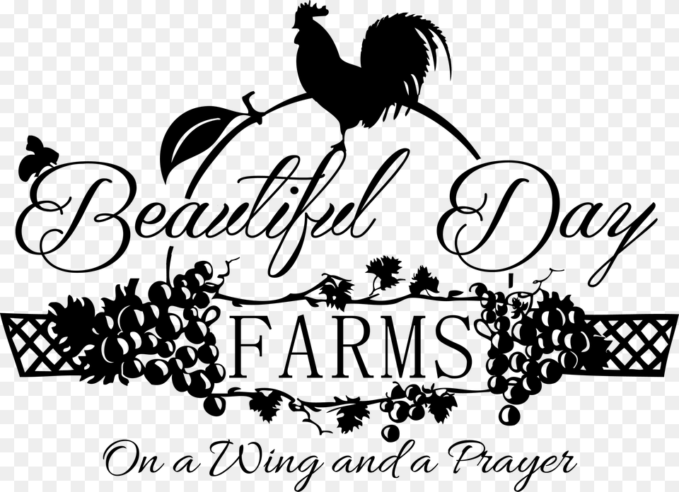 Beautiful Day Farms Calligraphy Png Image