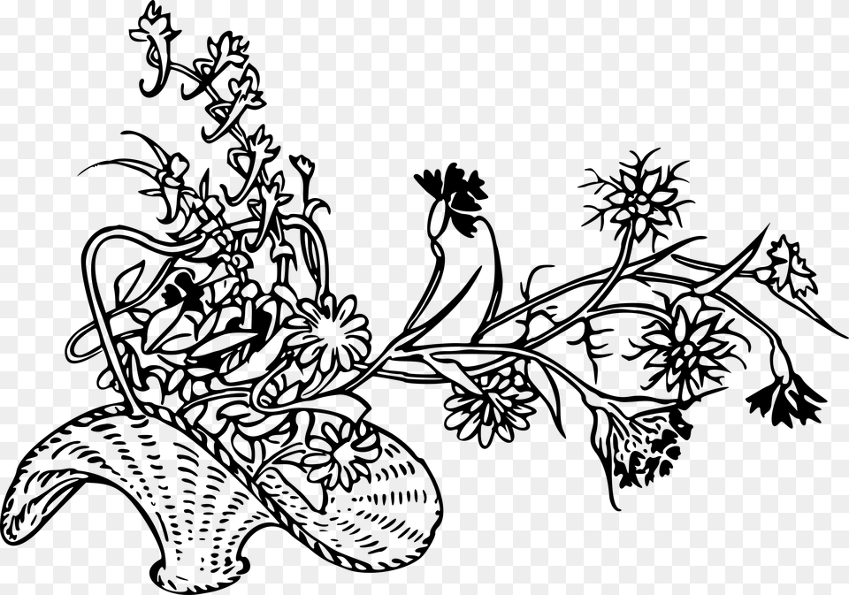 Beautiful Drawing Of Garden Flowers, Gray Free Transparent Png