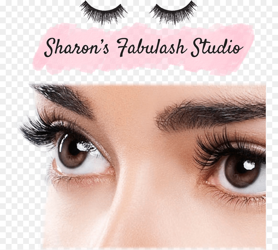 Beautiful Eyelashes Download Eyelash, Adult, Female, Person, Woman Free Png