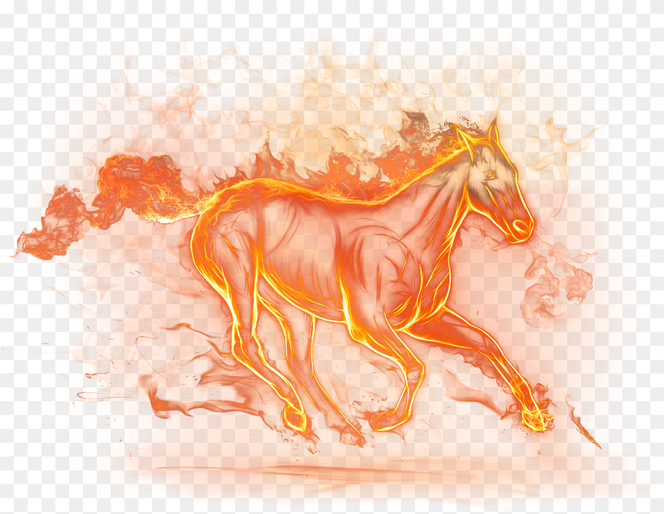 Beautiful Fire Horse, Animal, Colt Horse, Mammal, Foal Png Image