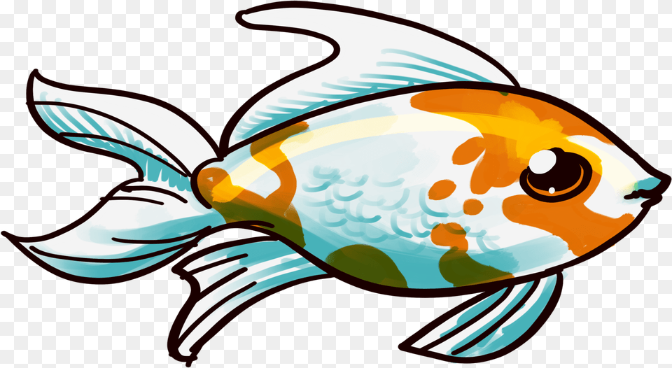 Beautiful Fish, Animal, Sea Life Free Png