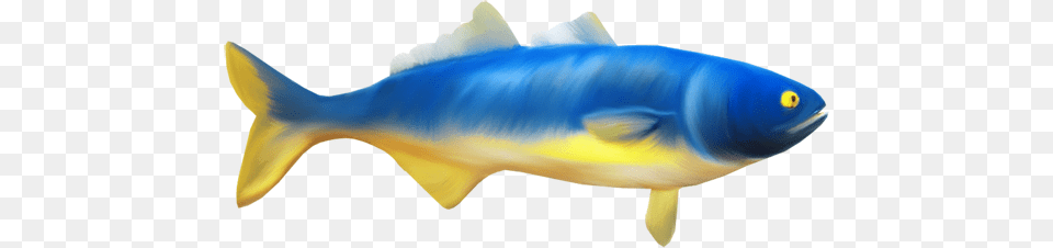 Beautiful Fish Clipart Blue Yellow Fish Clipart Fish, Animal, Sea Life, Tuna, Bonito Free Png