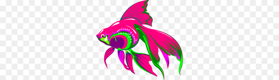 Beautiful Fish Cliparts, Animal, Sea Life, Shark, Angelfish Png Image