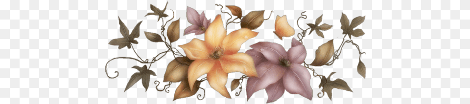 Beautiful Floral Beautiful Orchid Flower, Plant, Petal, Flower Arrangement, Accessories Free Png