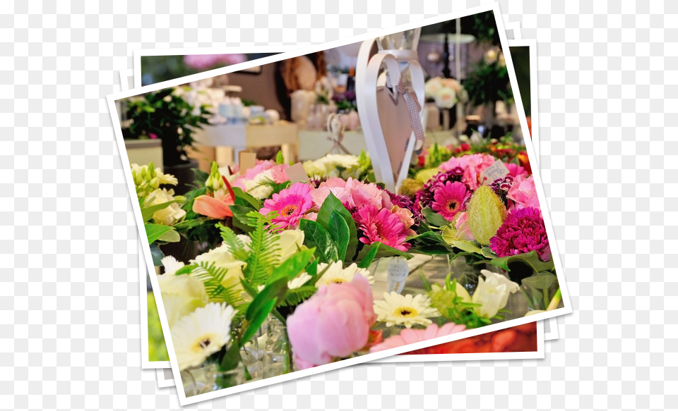 Beautiful Flower Arrangements Floristry, Flower Arrangement, Plant, Flower Bouquet, Petal Free Png