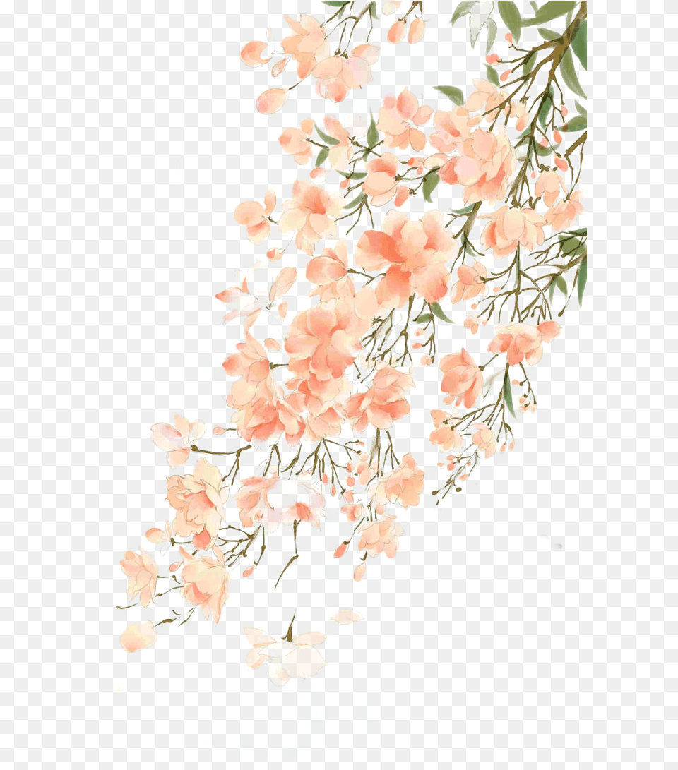 Beautiful Flower Illustration Antiquity Watercolor Chinese Chinese Flowers Background, Graphics, Art, Plant, Floral Design Free Transparent Png