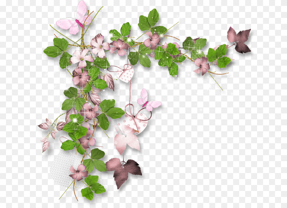 Beautiful Flower Plant, Flower Arrangement, Leaf, Petal, Pattern Png Image