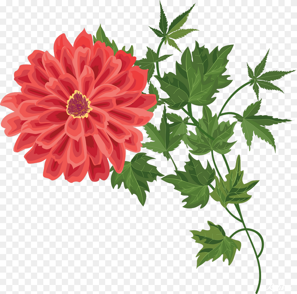 Beautiful Flower Vase With Flowers Portable Network Graphics, Dahlia, Plant, Daisy, Herbal Png