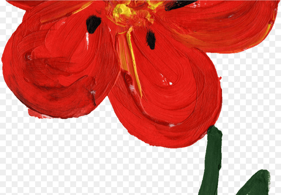 Beautiful Flowers 2019 Red Flower Painting Beautiful Anthurium, Petal, Plant, Geranium Free Png Download