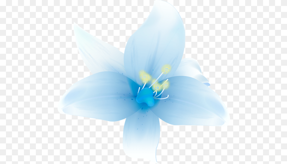 Beautiful Flowers By Hanabell1 White Blue Flowers, Anther, Flower, Plant, Anemone Png Image