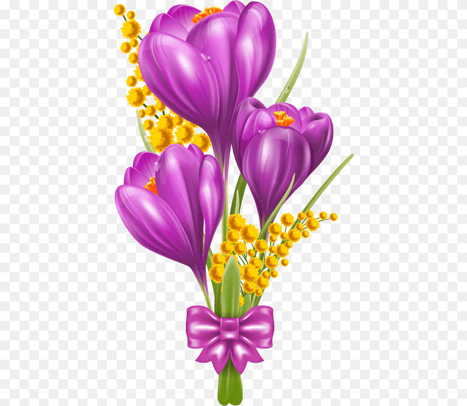 Beautiful Flowers Flower Beautiful Boders, Plant, Flower Arrangement, Flower Bouquet, Purple Png Image